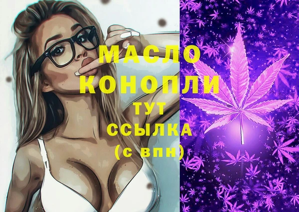 соль ск Михайлов
